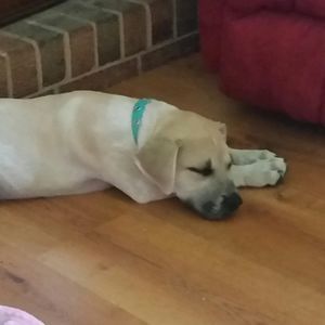 Meet your Posher, Nancy